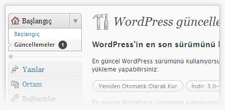 Wordpress